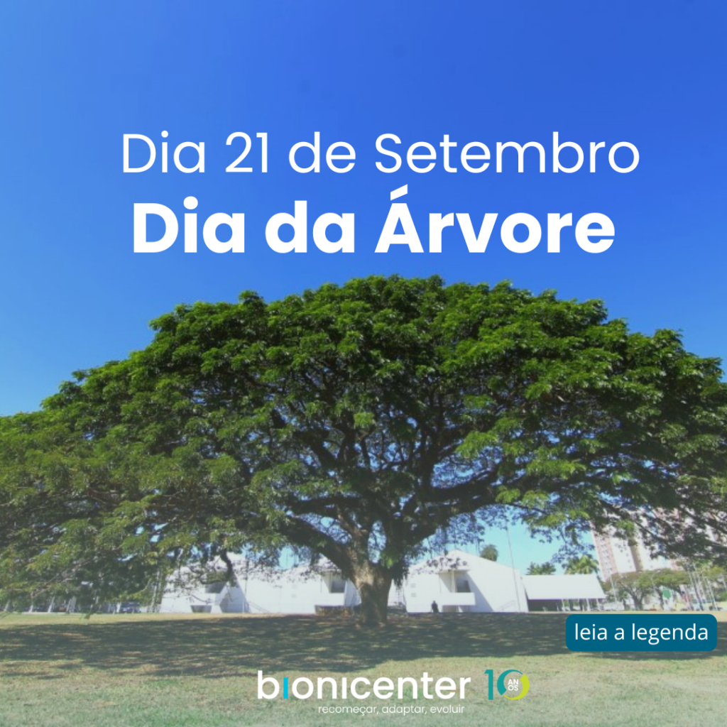 Dia da árvore