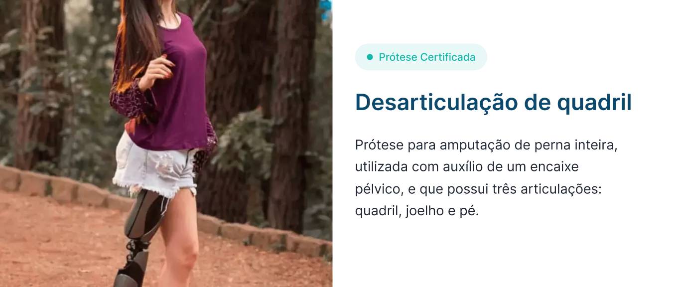 prosthesissectionpremium-1-698cbbcbbf63b