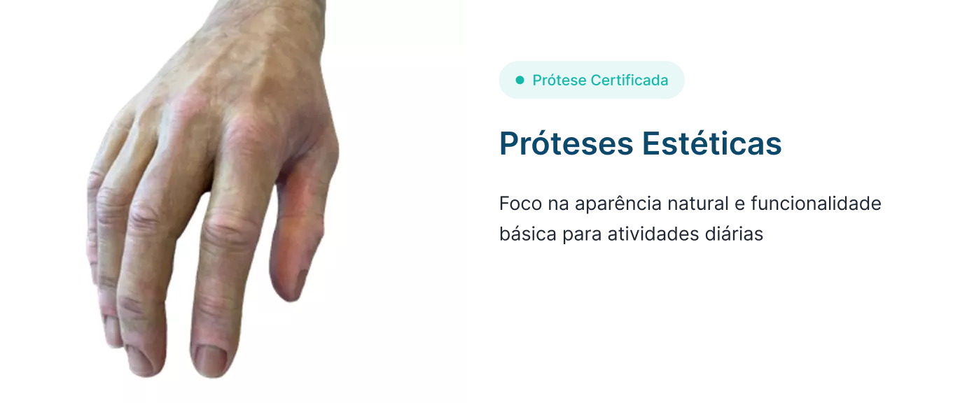 prosthesissectionpremium-2-698cbf9381128