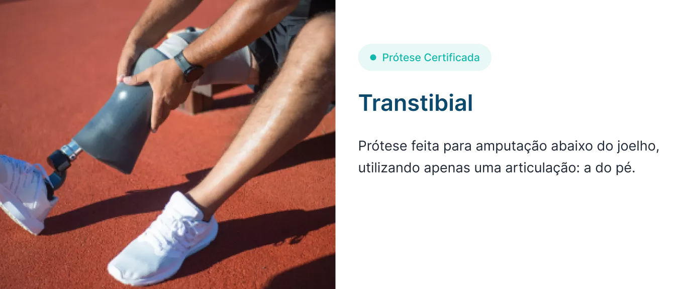 prosthesissectionpremium-698cbbcbbd78d