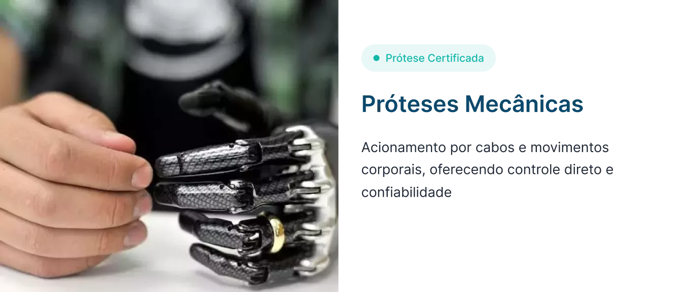 prosthesissectionpremium-698cbf903ce29